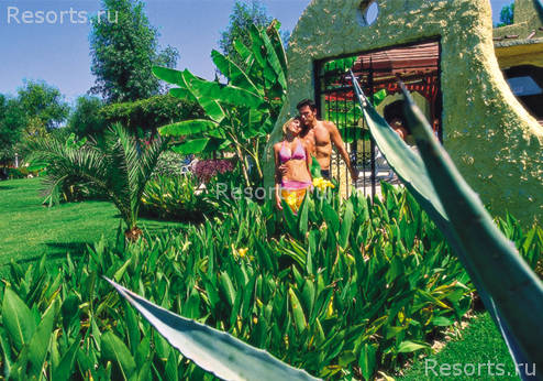 Paloma Beach Side 5